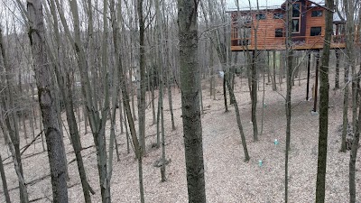 Photos of Ferngully Creek Ltd