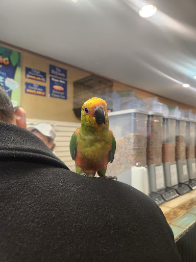Route 18 Shopping Center - Thumbnail