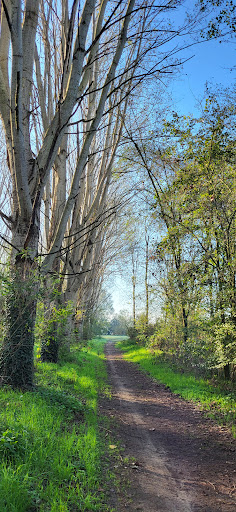 MTB Track Cremona Gallery - Italy