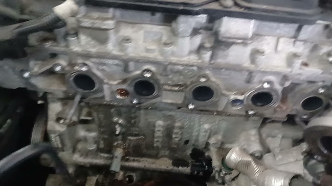 Opinii despre AS Mario în Zagreb - Automehaničarska radionica