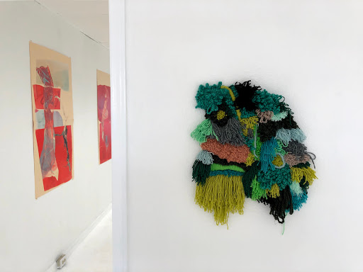 Xolo Gallery - Visual