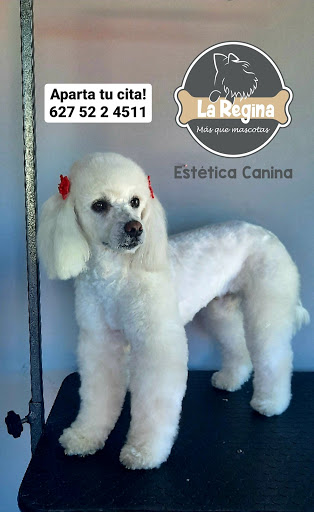 Clinica veterinaria y estética canina "La Regina"