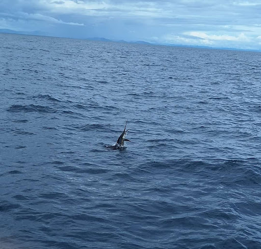 Papagayo Fishing Charters