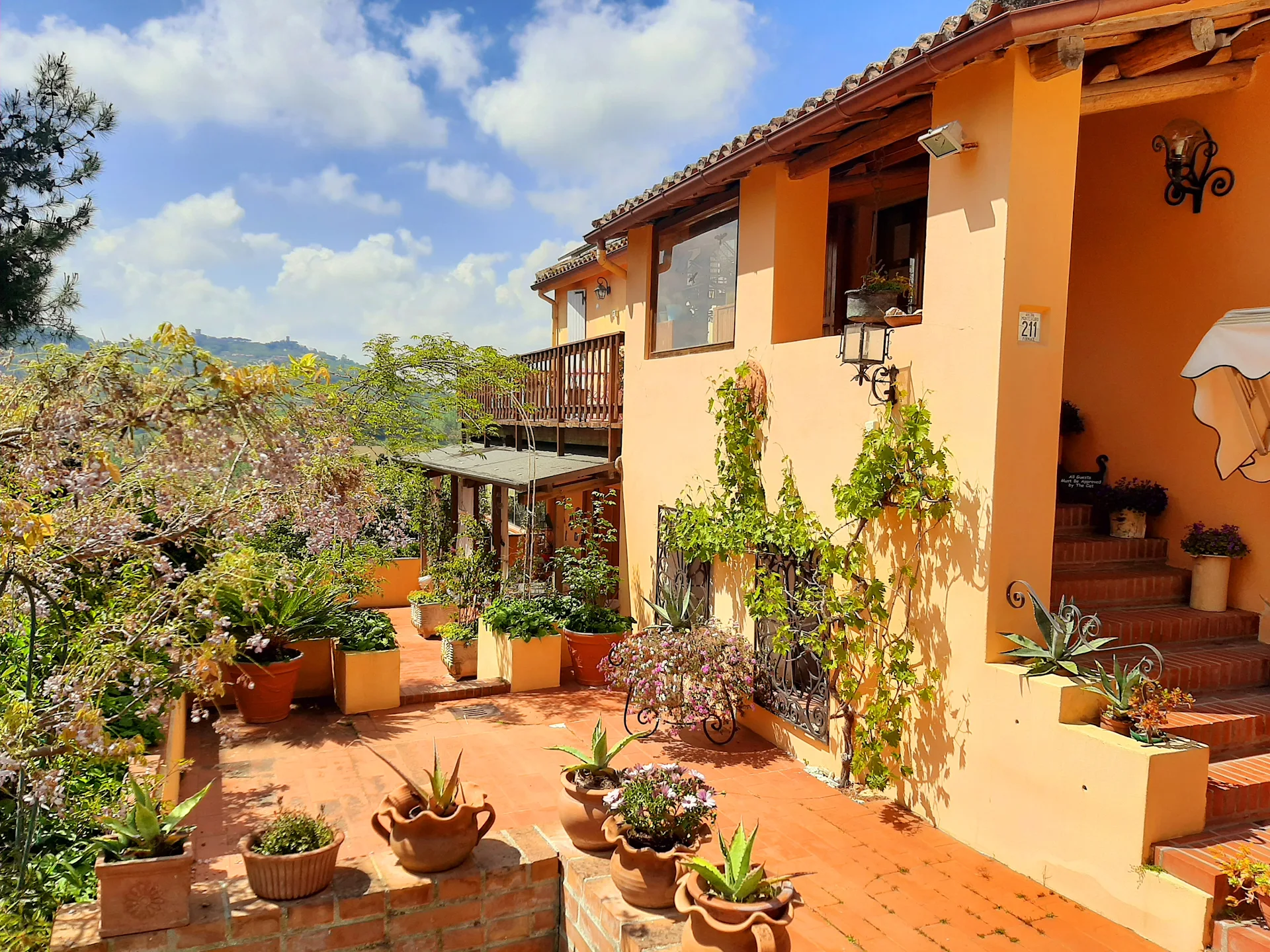 B&B Glicine