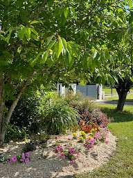 Photo n°4 de Ferme de la Grâce - Vente de copeaux de Miscanthus à Montmirail (Agriculteur)