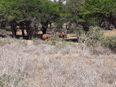 Photos of Taita Hills Wildlife Sanctuary