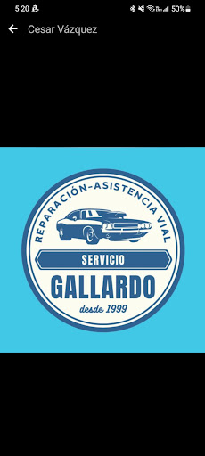 Servicio Gallardo - Visual
