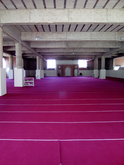 Photos of Taiba Mosque مسجد طيبة