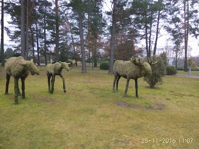 Photos of Sanatoriy Radon