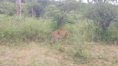 Photos of Elephant Point