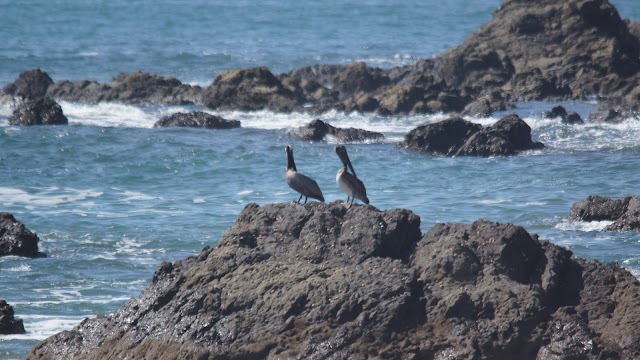 Corcovado National Park Office