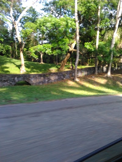 Photos of Roatan Life Real Estate