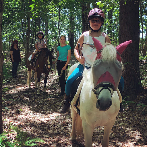 Power and Stride Equestrian Center - Thumbnail