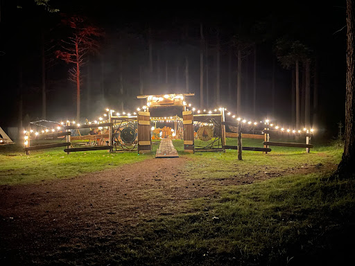 Winterwoods - Visual