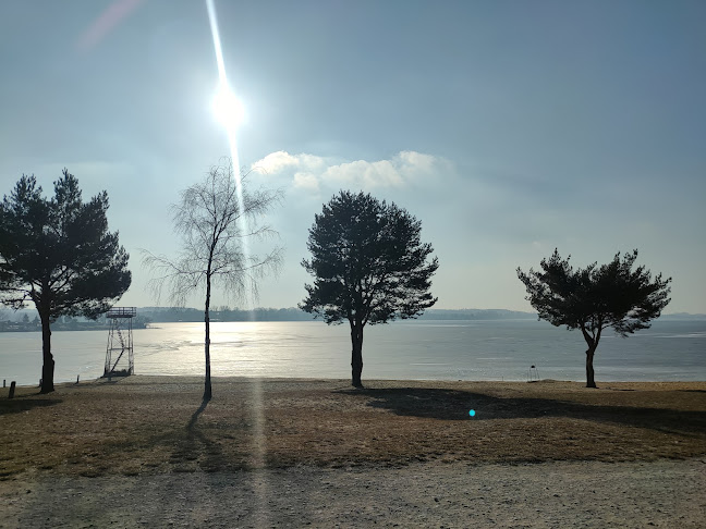 Opinii despre Plaża Pławniowice în Pyskowice - Restauracja