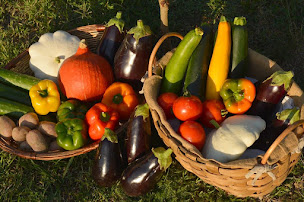 Photo n°1 de Jardin de Cocagne Terra Ferma à Castillon-Savès (Ferme bio)