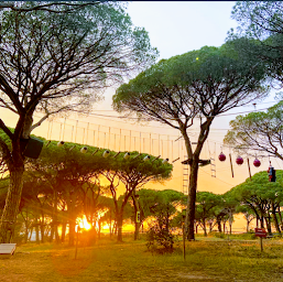 Photo n°25 de Oxygene Evasion à Puget-sur-Argens (Attraction touristique)