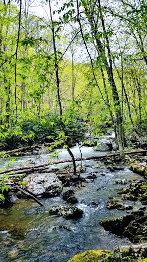 Jefferson National Forest - Clinch Ranger District - Thumbnail