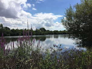 Photo n°15 de Camping Au Pré de l'Étang à Sainte-Foy (Restaurant)