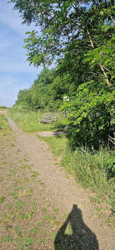 Rundwanderweg Aussichtsturm Erzgebirgblick - Thumbnail