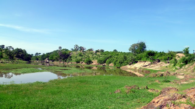 Parc national de Ruaha