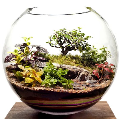 Photos of Terra Garden Co