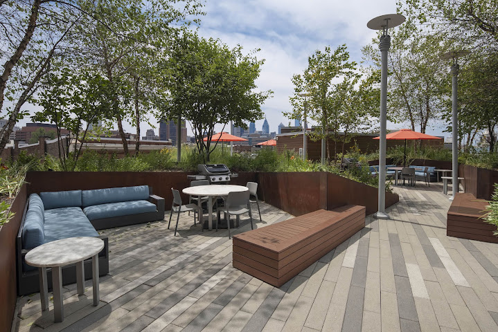 Bridge on Race by null