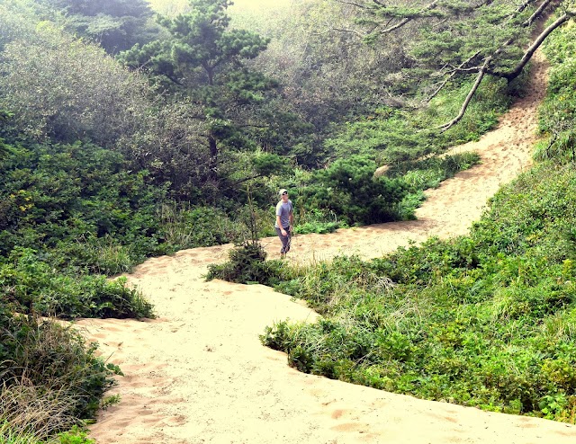 Cape Kiwanda State Natural Area