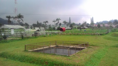 Photos of Peak Berry Farm