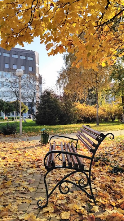 Photos of Polessky State University