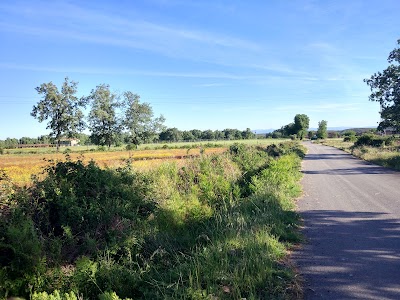 Photos of Camping de Candeleda