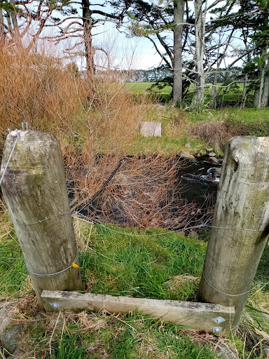 The Stony River (Hangatahua) Walkway - Thumbnail