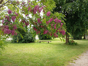 Photo n°29 de Camping Deneuvre à Châtel-de-Neuvre (Terrain pour camping-cars)