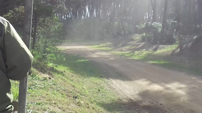 Opiniones de Camping San Rafael en Minas - Camping