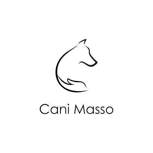 CaniMasso - Visual