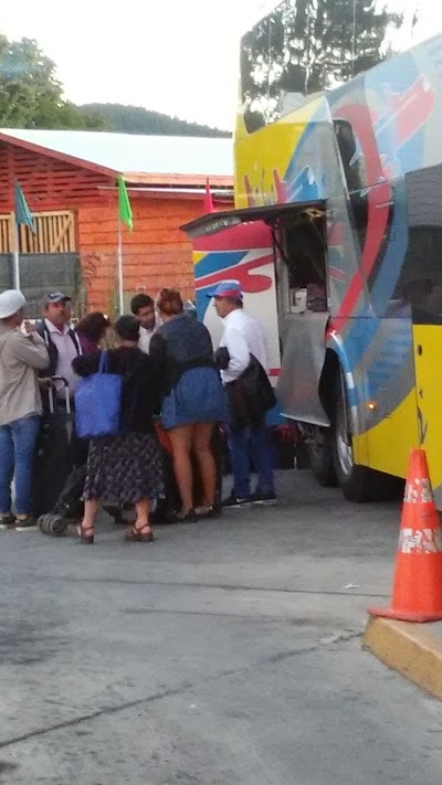 Photos of Terminal de Buses Municipal