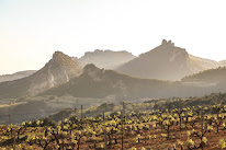 Domaine de Cassan à Lafare