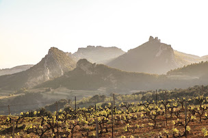 Photo n°1 de Domaine de Cassan à Lafare (Cave à vins)