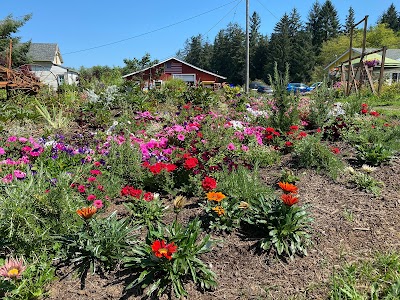 Blackberry Bog Farm