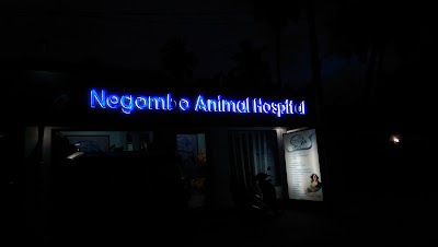 Photos of Negombo Animal Hospital