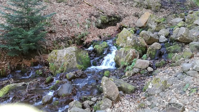 Réserve Naturelle de la Vallée de Chaudefour