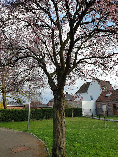 Mairie De Locon - Thumbnail