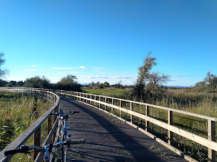 Photo n°29 de Camping Cap Sud à Alénya (Agence de location de mobile homes)