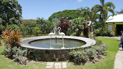 Photos of Caribelle Batik at Romney Manor