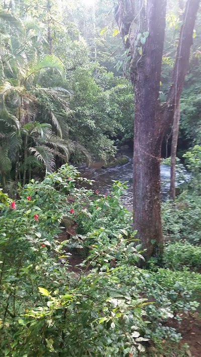 Photos of Carolina Lodge