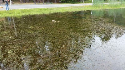 Lake Selmac Park