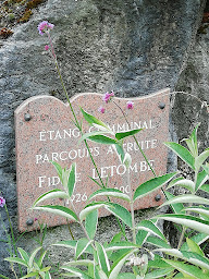 Photo n°13 de Parcours à truites à Courcelles-lès-Lens (Centre de loisirs)