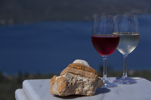 Photo of Vriniotis Winery