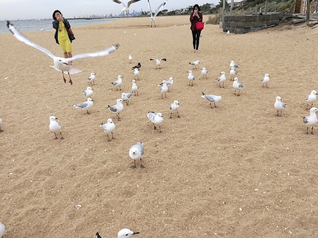 Brighton Beach Boxes