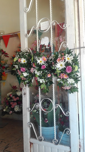 Floreria Elo - Visual